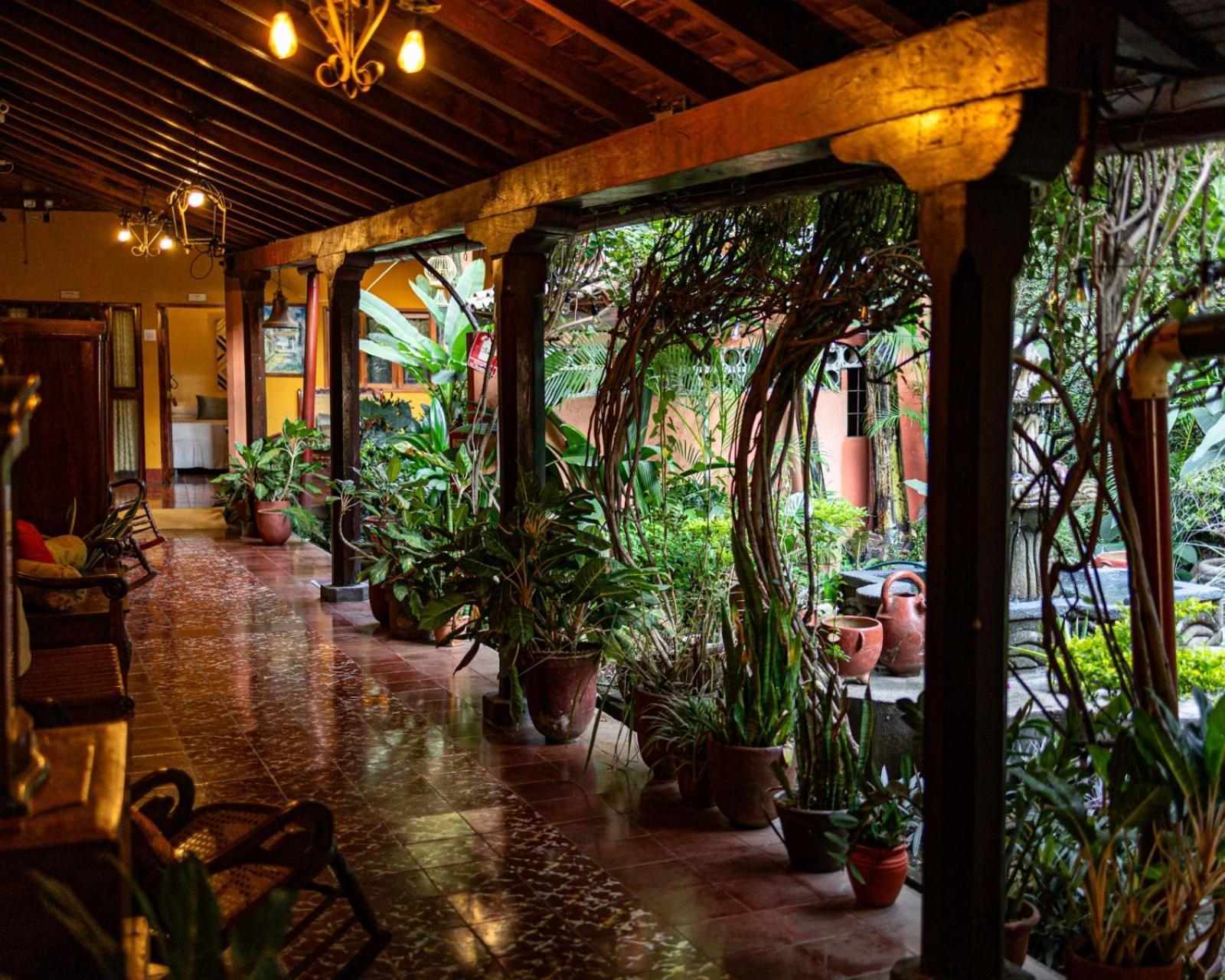 Hostal Fuente Castalia, B Y B León Exteriör bild